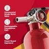 First Alert HOME1 Extintor de incendios doméstico estándar recargable con clasificación UL 1-A:10-B:C, rojo - Imagen 3